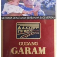 Gudang Garam Filter